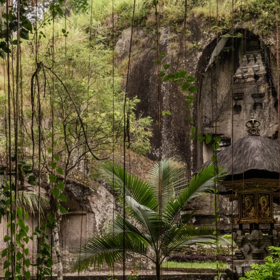 photo nature à Bali.