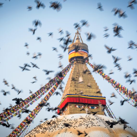 Stupa avec des oiseaux qui vol.