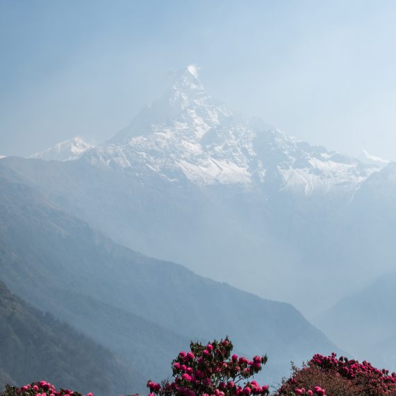 Montagne et foret devant.