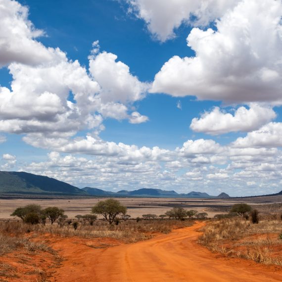 photo de paysage de la savane